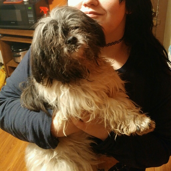 Meet your Posher, Martha - Picture 1 of 1